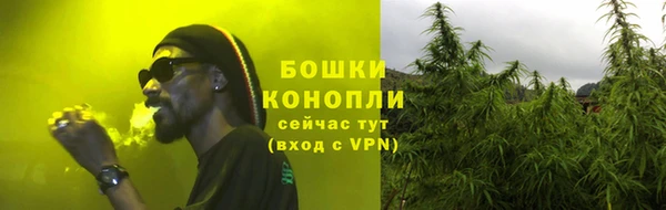 прущие грибы Богданович