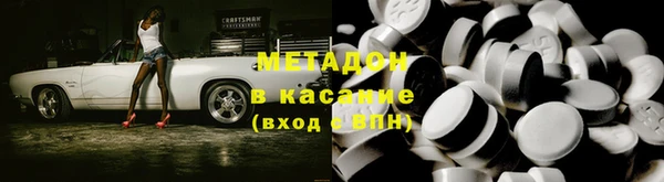 прущие грибы Богданович