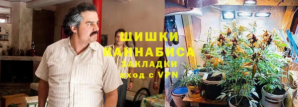 ALPHA-PVP Богородицк