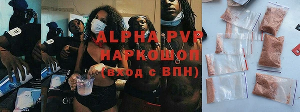 прущие грибы Богданович