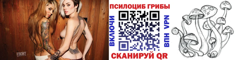 магазин Богородицк Псилоцибиновые грибы Psilocybine cubensis