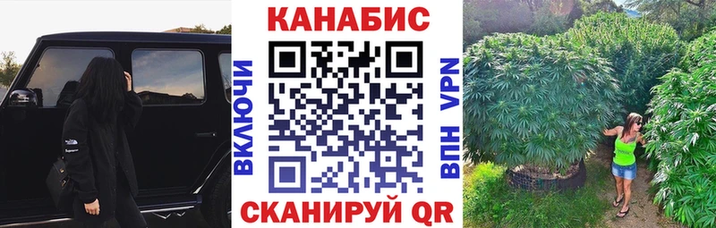 блэк спрут зеркало  Богородицк  Каннабис тримм  закладка 